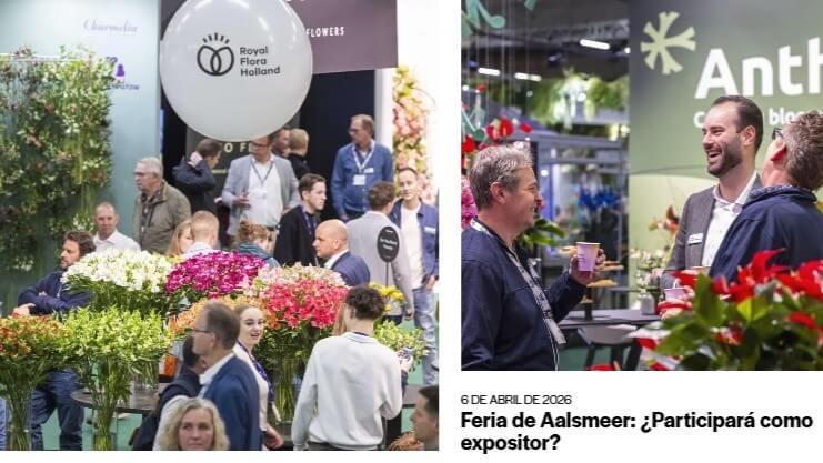 Trade Fair Aalsmeer