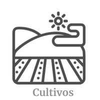 Tipos de Cultivo