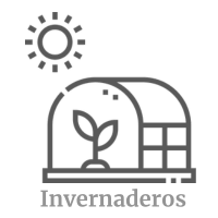 Cultivos intensivos y plasticultura
