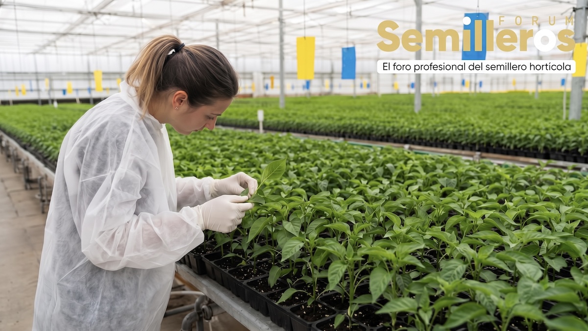 Semilleros Forum 2026 analizará en El Ejido los retos de la sanidad vegetal, la automatización y la calidad de planta