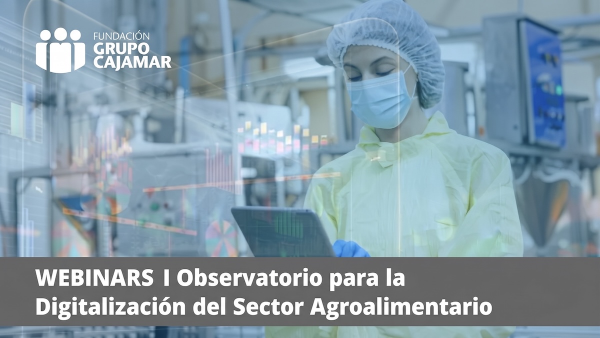 Evolución de la digitalización en la industria agroalimentaria: 2022-2025